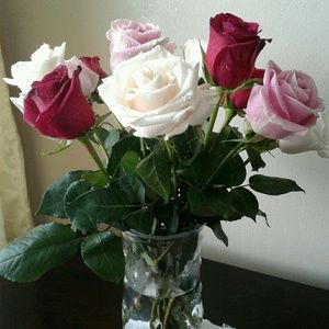 Meet your Posher, Sahar